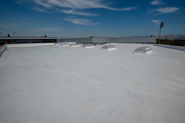 Best Roofing for New Construction  in Millbourne, PA