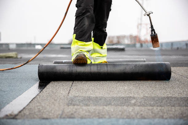 Best Roof Moss and Algae Removal  in Millbourne, PA